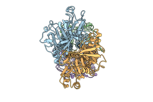 9RLJ image