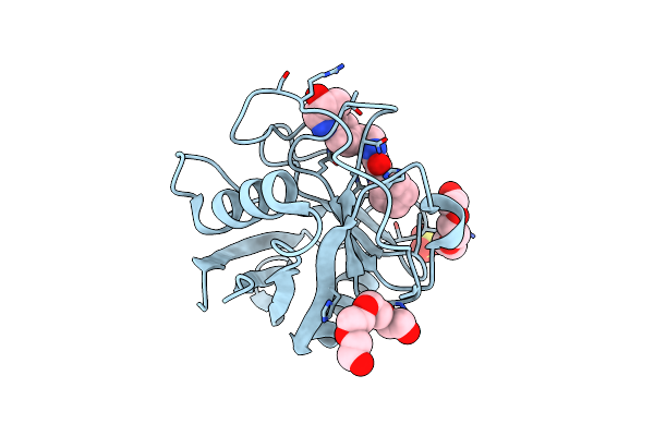 9RLM image