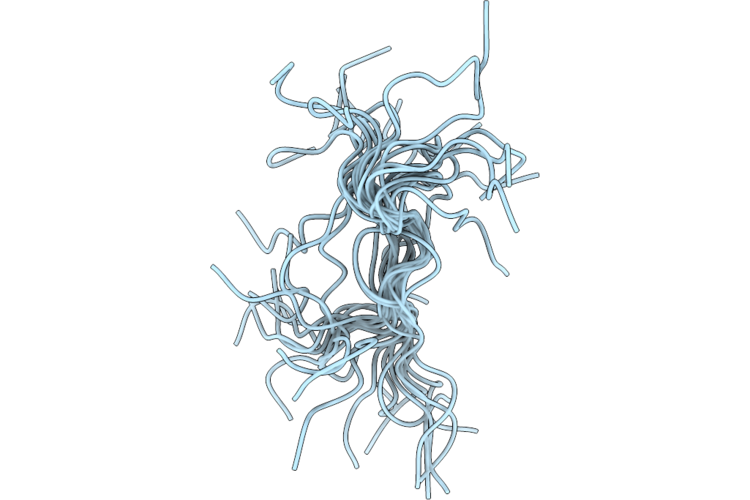 9RLN image