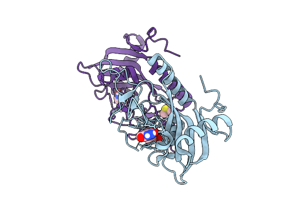 9RLO image