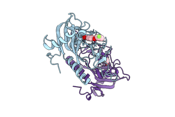 9RLP image