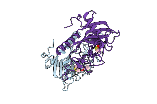 9RLR image