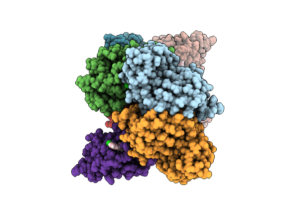 9RLS image