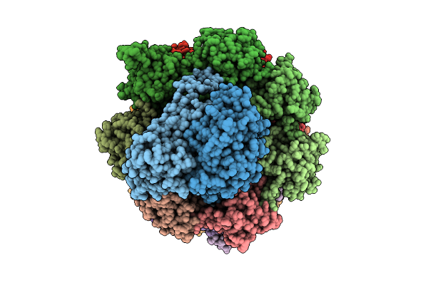 9RLT image