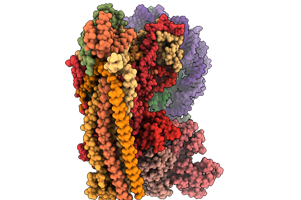 9RMC image