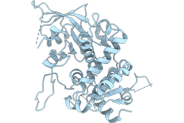 9RMD image