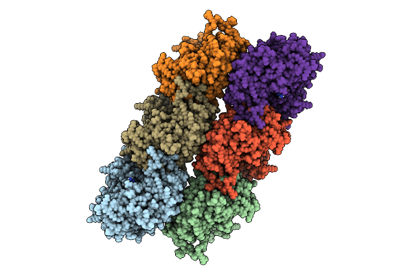 9RMI image