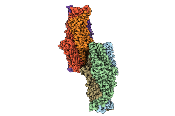 9RMM image