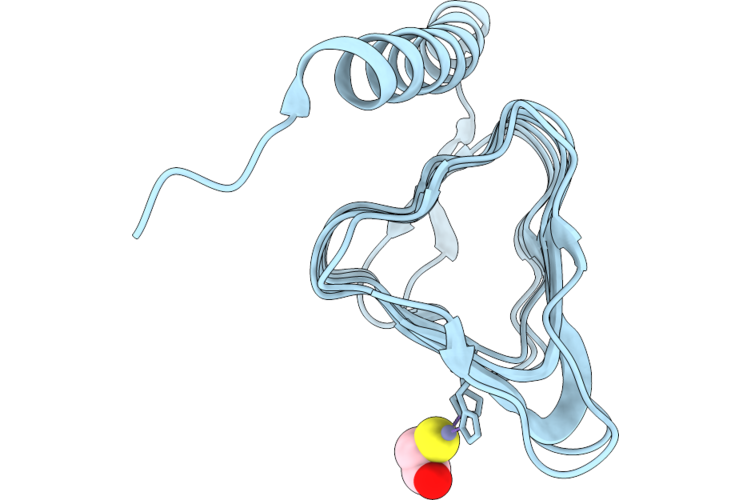 9RMQ image
