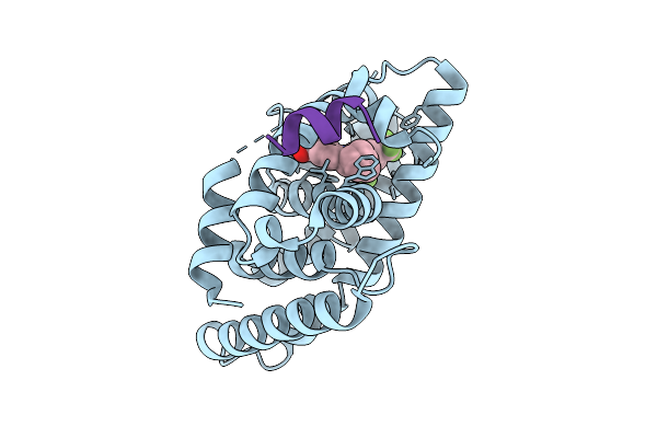 9RMR image