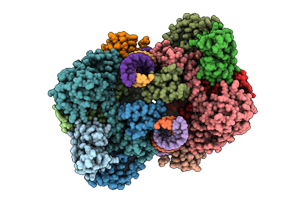 9RMU image