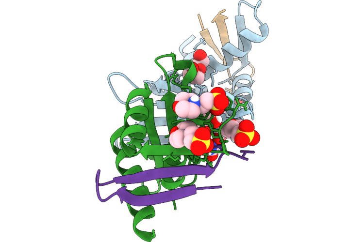 9RMV image