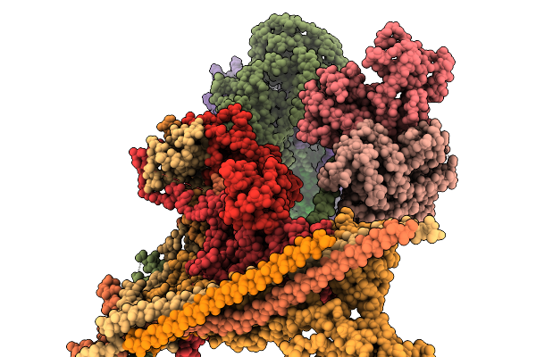 9RN1 image