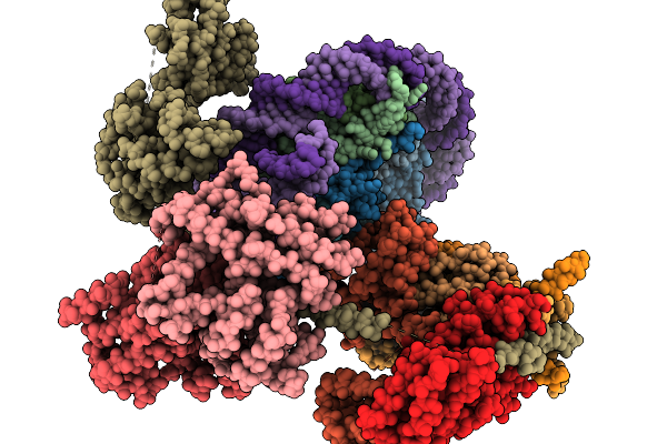 9RN2 image