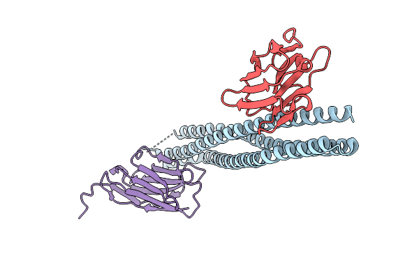 9RN6 image
