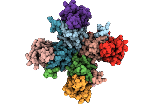 9RNH image