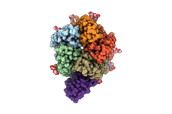 9RPB image