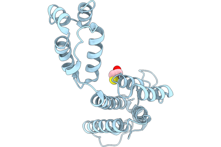 9RPC image