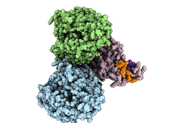 9RPD image
