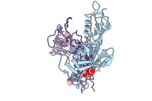 9RPL image