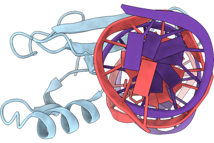 9RPP image
