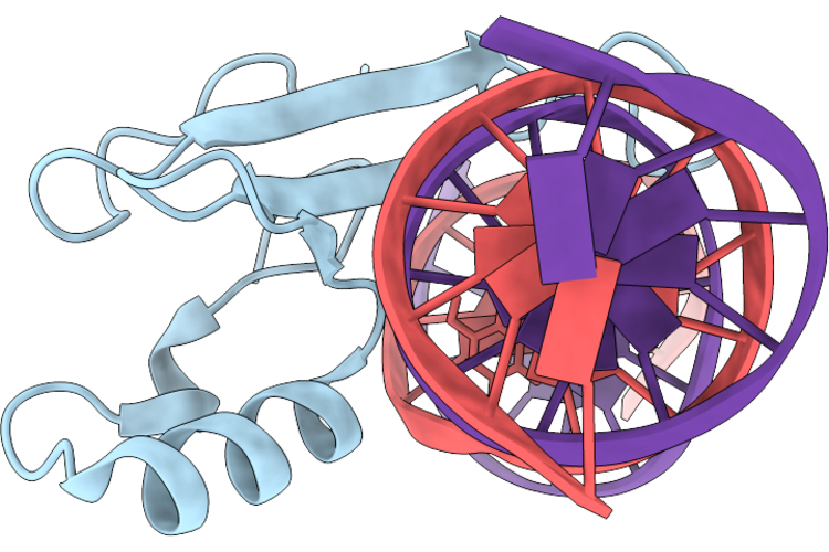 9RPQ image