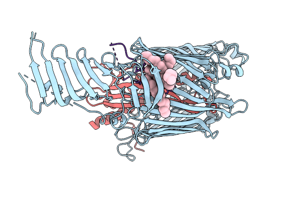 9RPR image