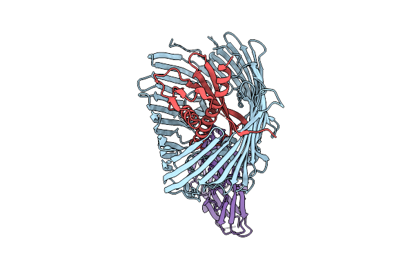 9RPT image