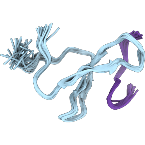 9RPU image