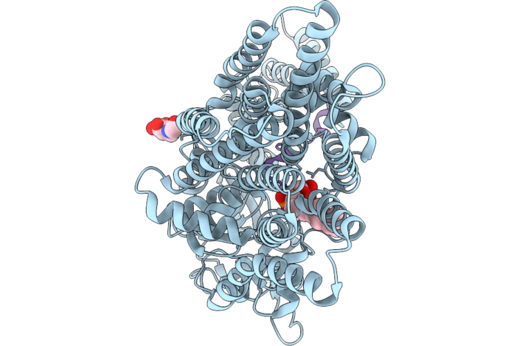 9RQM image
