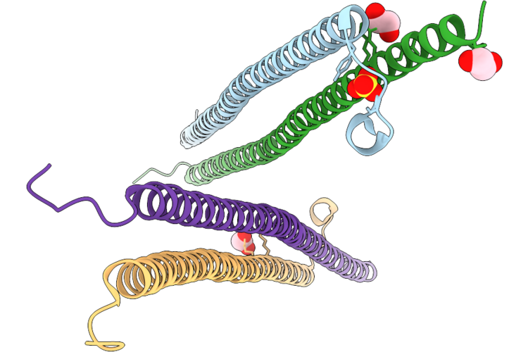 9RQU image