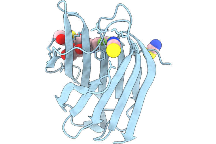 9RQV image