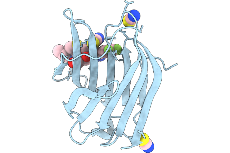 9RQX image