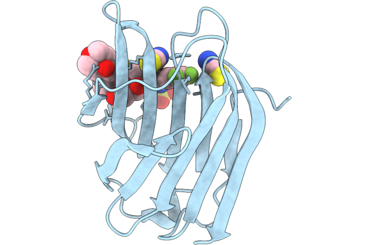 9RRA image