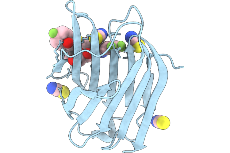 9RRB image