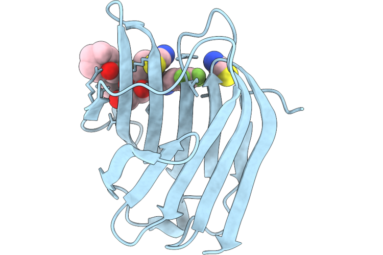 9RRC image