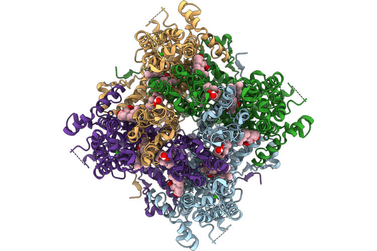9RRO image