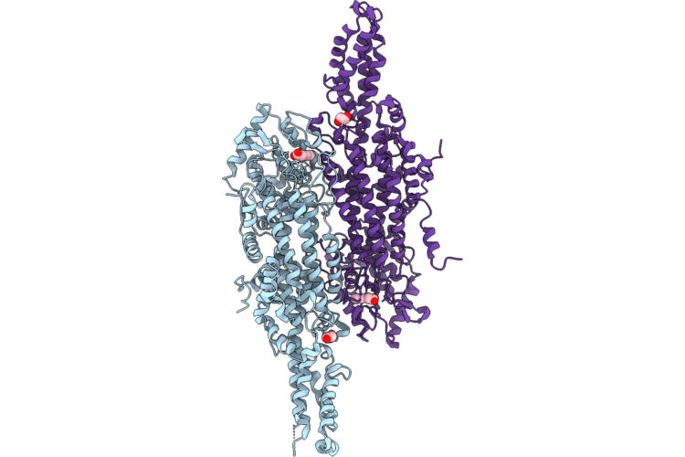 9RSB image