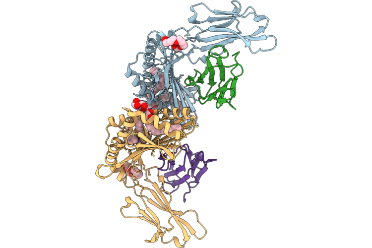 9RSE image