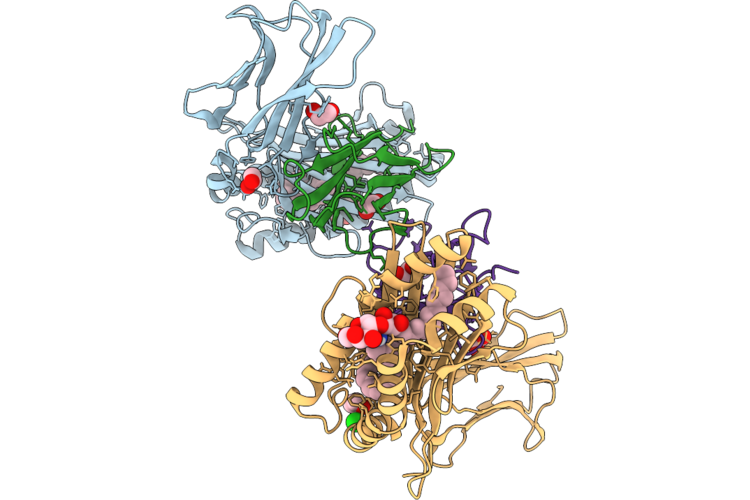 9RSF image