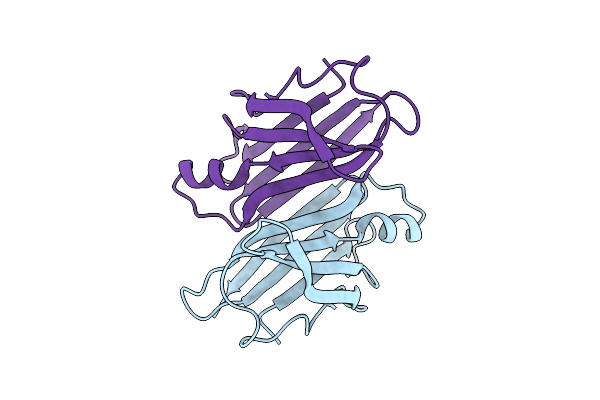 9RSP image