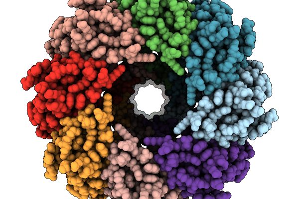 9RSU image