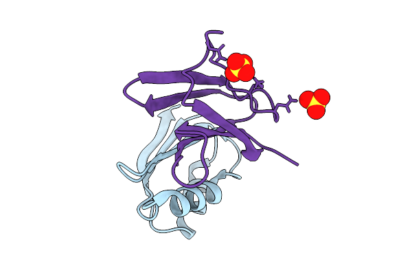 9RSV image
