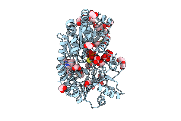 9RTI image