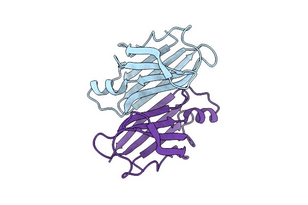 9RTO image