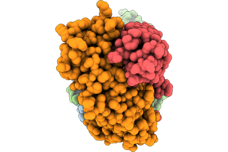 9RUH image