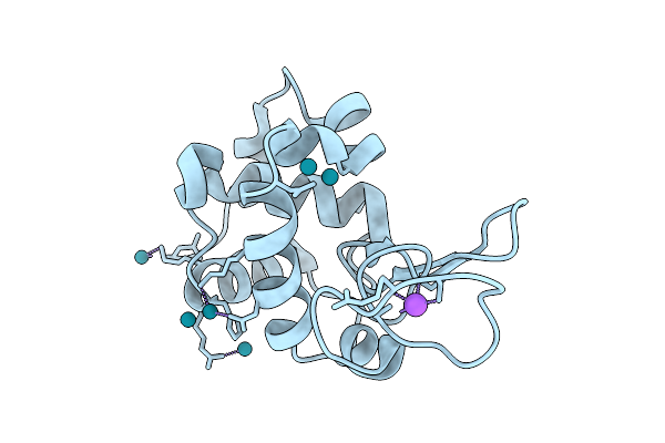 9RUV image