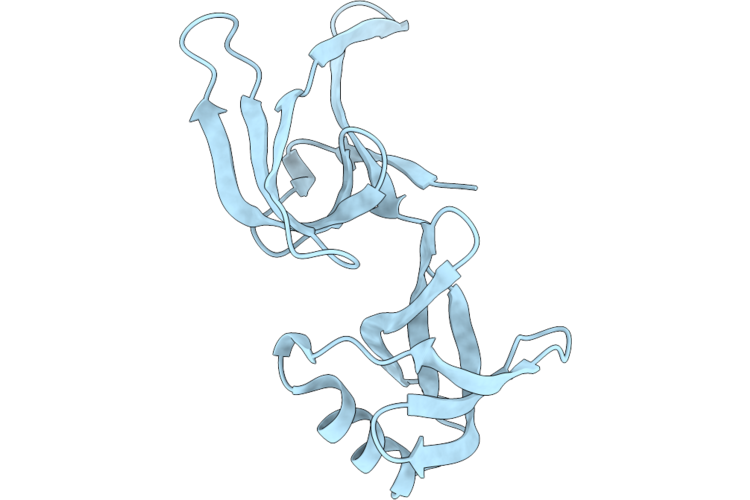 9RVD image