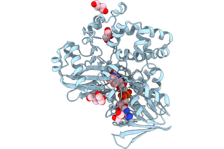 9RVH image