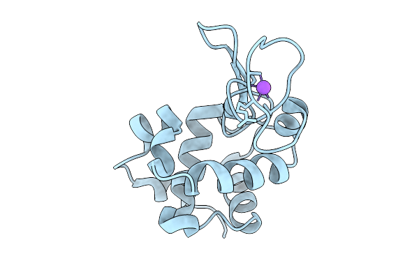9RVI image